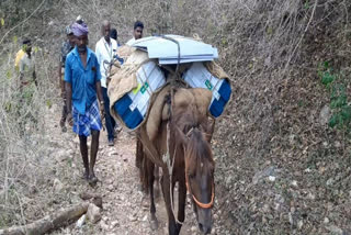 நத்தம் அருகே உள்ள மலை கிராமத்திற்கு குதிரை மூலம் கொண்டு செல்லப்பட்ட வாக்குப்பதிவு இயந்திரங்கள்