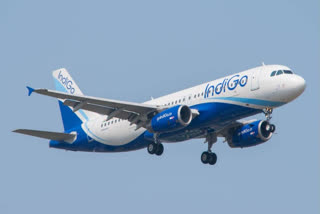 A social media influencer has claimed that IndiGo's 'upma' and 'poha' have higher sodium content than Maggi, while the airline claims the salt content in its pre-packaged products is within prescribed norms. The influencer claims that the 'Magic Upma' and 'Poha' have 50% and 83% more sodium than Maggi, respectively. IndiGo claims that the preparation of some pre-packaged products follows traditional Indian recipes and all food served on board is labelled as per FSSAI norms.