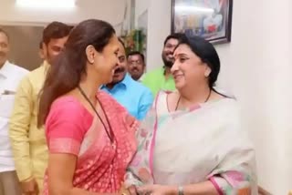 Supriya Sule Taken Loan Of 55 Lakh Rupees From Sunetra Pawar And Parth Pawar
