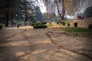 کوکر ناگ کا بوٹینیکل گارڈن بدحالی کا شکار