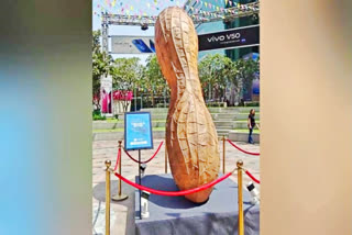 Giant peanut Sculpture