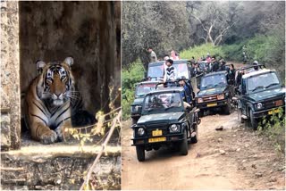 Aravali Valley