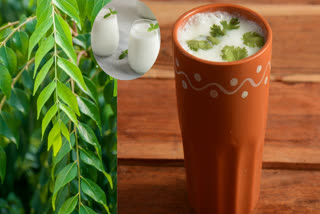 Benefits of drinking buttermilk in summer season, know how much buttermilk should be drunk in a day