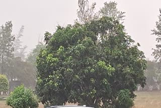 Hailstorm along with rain and thunderstorm occurred in many parts of Ranchi