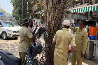 BMC begins removing boards, cables, and nails illegally placed on trees