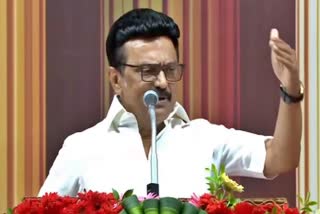 MK STALIN  BJP TAMILNADU  TAMILNADU ASSEMBLY ELECTION  AMIT SHAH