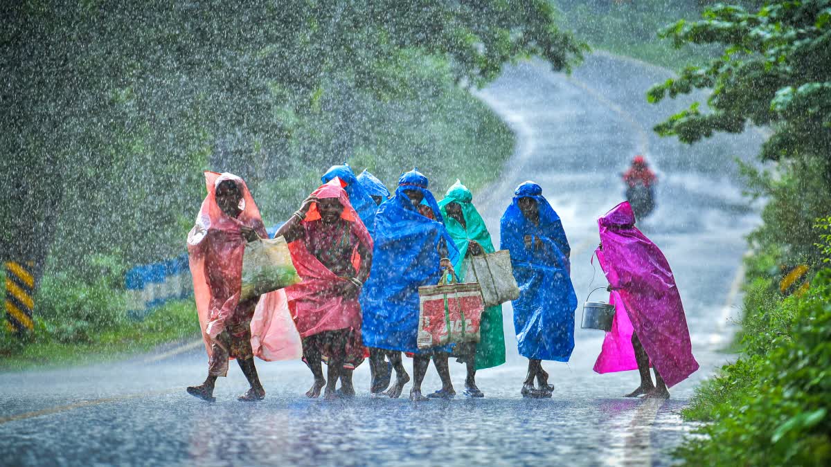 THUNDERSTORMS  Meteorological Department  West Bengal