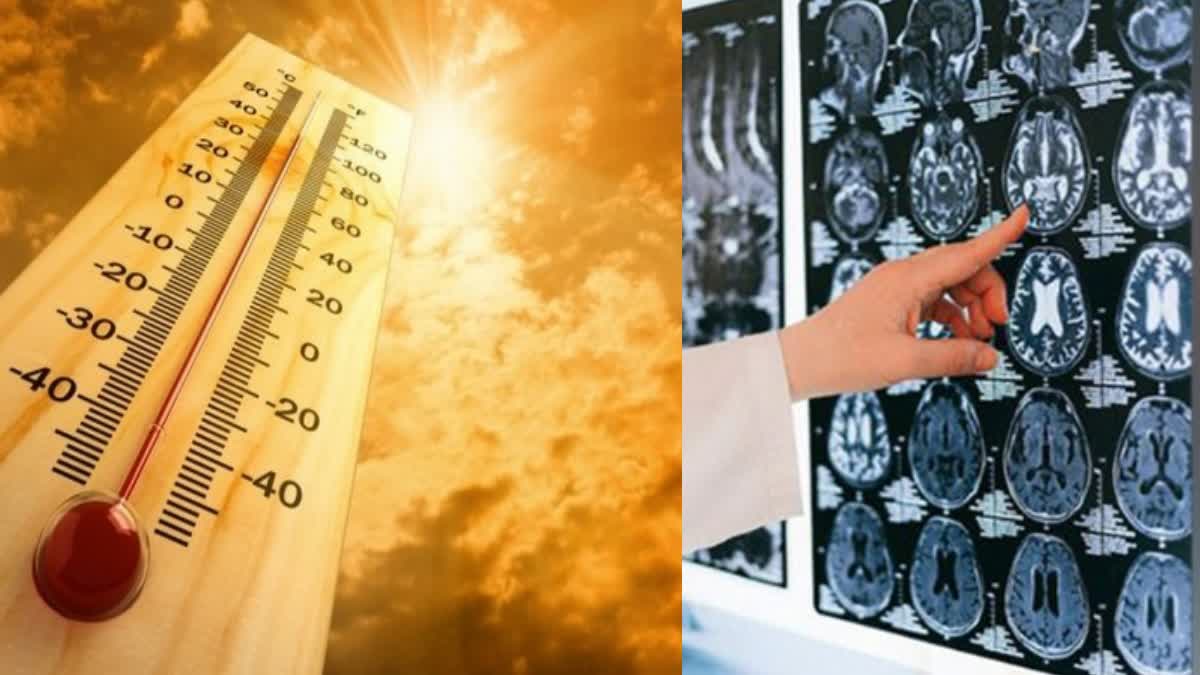 Climate Change Impact On Human Brain