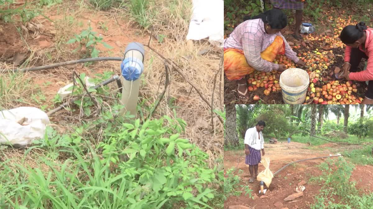 irrigation_problems_to_anantapur_district_farmers