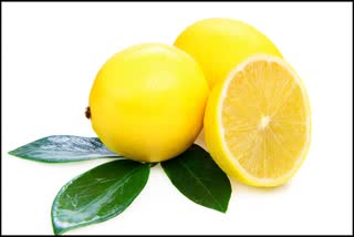 International plant a lemon tree day