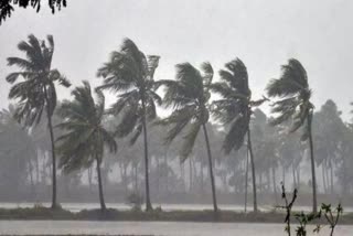 Monsoon Update Chhattisgarh