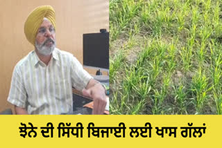 Know from Agriculture expert when and how to do direct sowing of paddy, how much it will benefit the farmers