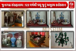 જૂનાગઢ સંગ્રહાલય : 123 વર્ષથી વધુ જૂનું અમૂલ્ય કલેક્શન