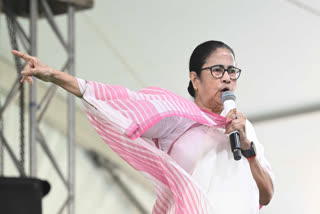 West Bengal Chief Minister and Trinamool Congress supremo Mamata Banerjee on Saturday claimed that the INDIA bloc will come to power in the 2024 Lok Sabha elections and BJP will "not cross the 200 mark" in the polls.