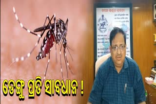 How Can Prevent Dengue