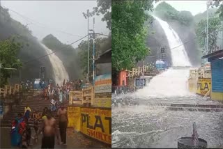 Tamil Nadu: Flash floods hit Courtallam waterfalls