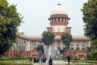 SC grants interim bail