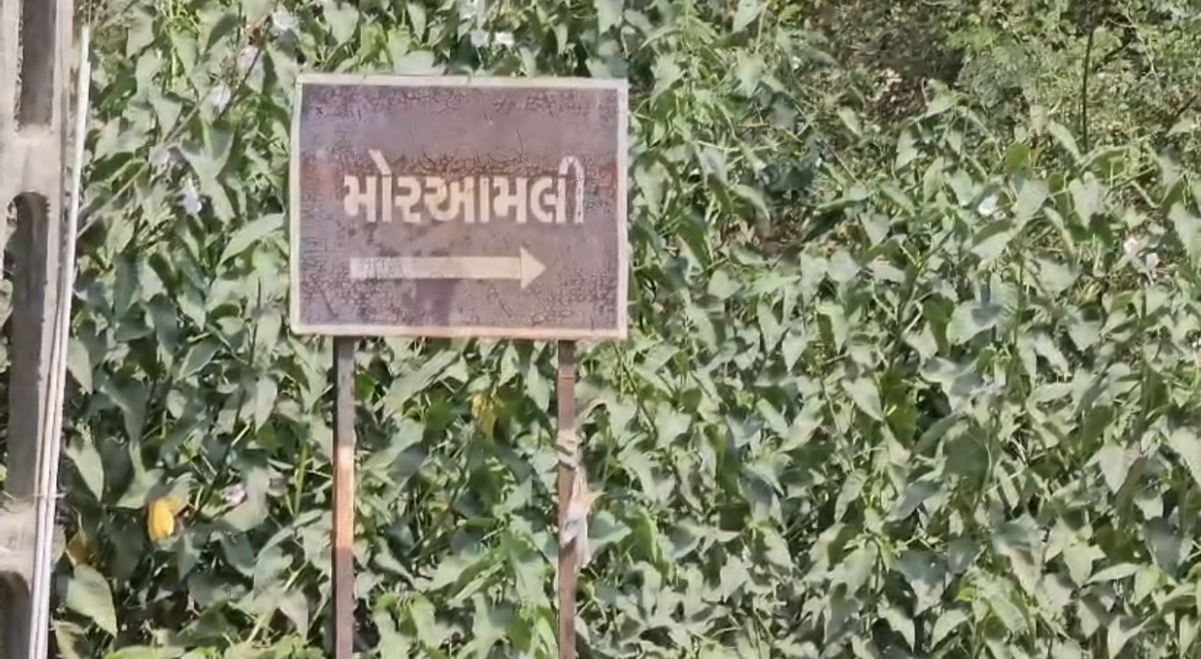 1 વ્યક્તિનું ઘટના સ્થળે મોત નિપજ્યુ