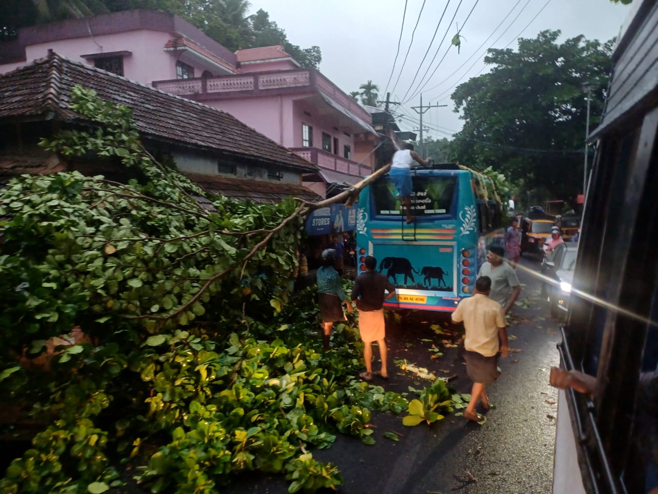 IDUKKI  PATHANAMTHITTA  KOTTAYAM  RED ALERT DISTRICTS IN KERALA