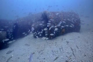 artificial_reefs_in_coastal_areas