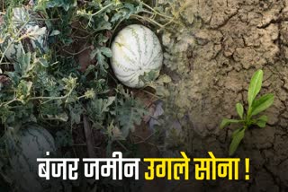 FARMING ON BARREN LAND