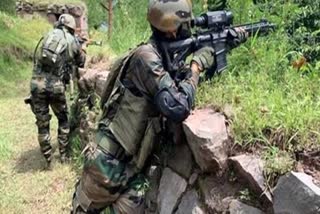 India Pakistan Ceasefire
