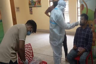 चिड़ियाघर के कर्मियों के लिए गए सैंपल.