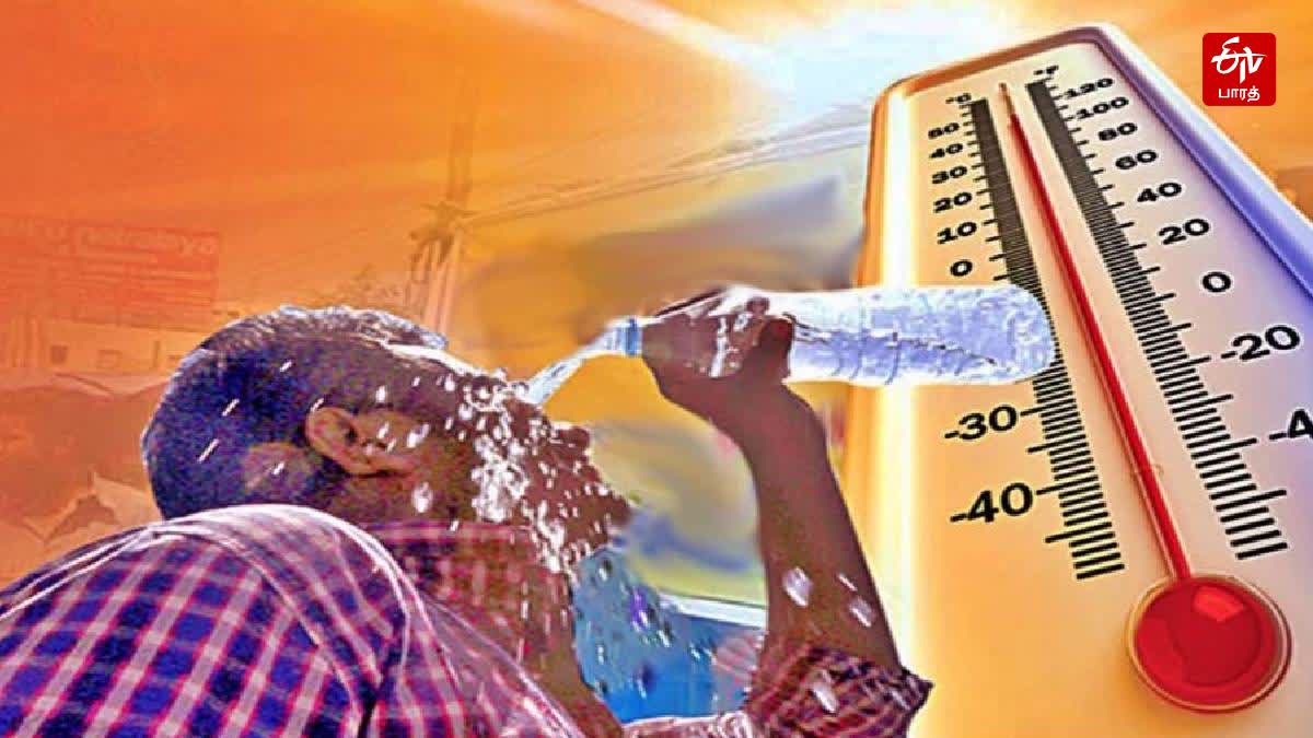 heat stroke in bihar