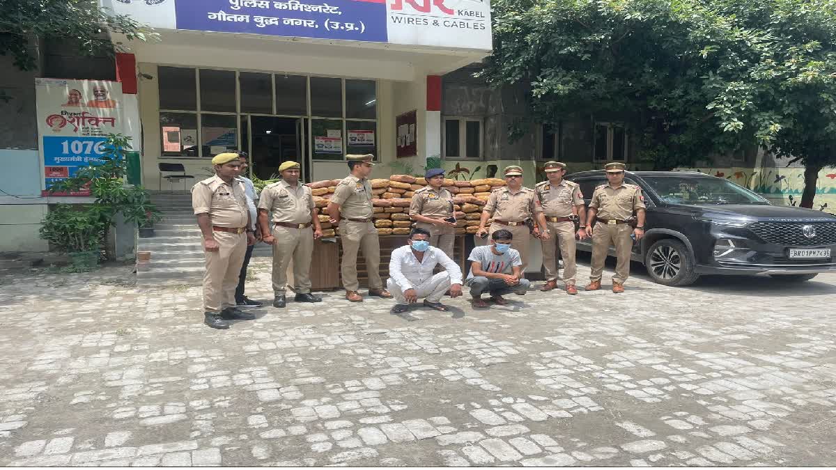 Etv BharatNoida police arrested Two smugglers with hemp