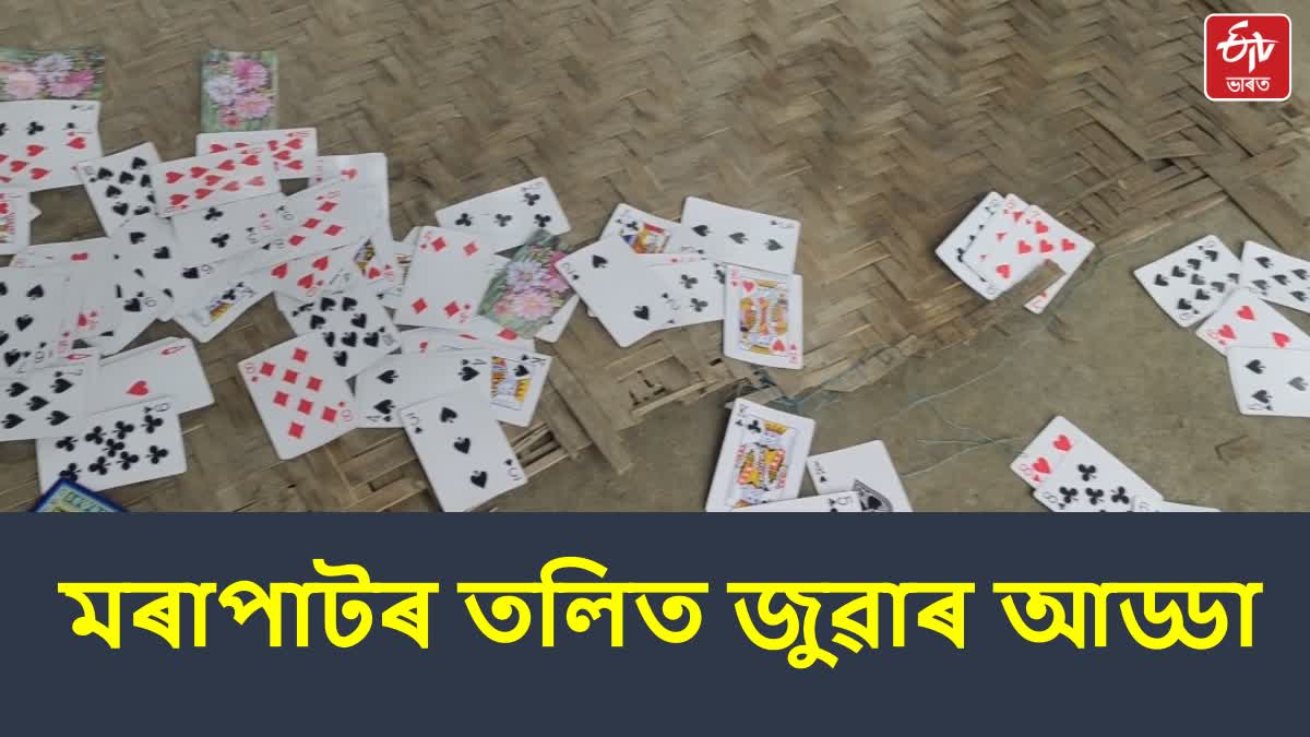 Illegal gambling on the ground of jute