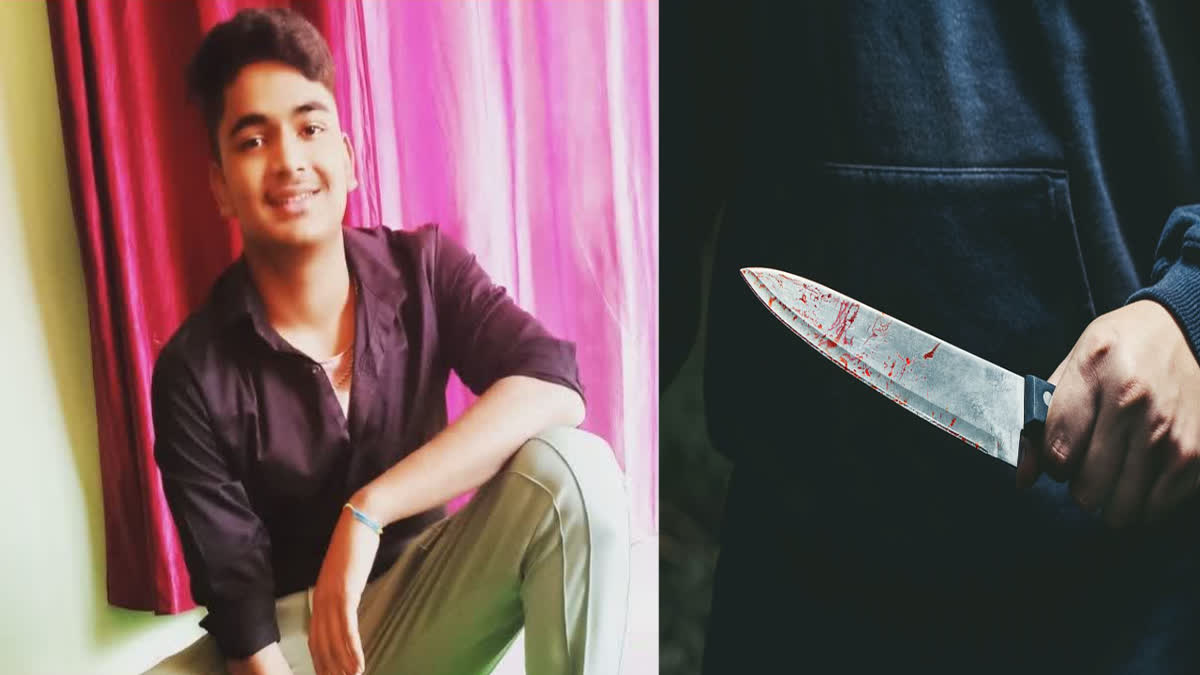 Delhi Aryabhatta College student stabbed to death