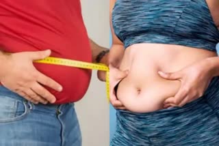 Belly Fat Loss Diet