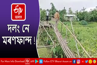 Broken bamboo bridge in Bongaigaon