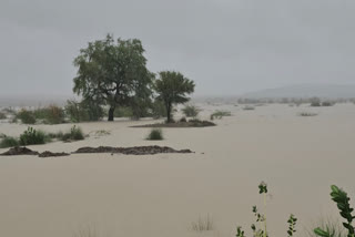 Rajasthan: Cyclone Biparjoy wreaks havoc in Barmer desert