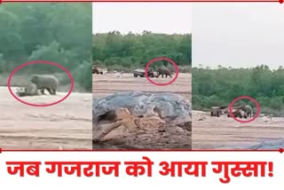 Wild elephant tried to overturn sand laden tractors in Giridih