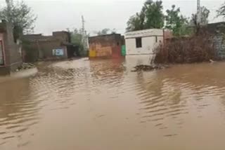 Effect of Biparjoy cyclone,  Effect of Biparjoy cyclone in Rajasthan