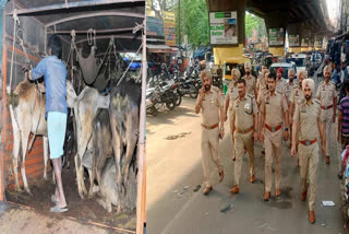 132 police teams raided 185 locations of people involved in cow slaughter cases