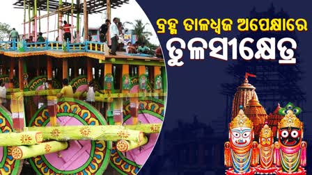 shreebaladevjeeu ratha yatra preparation