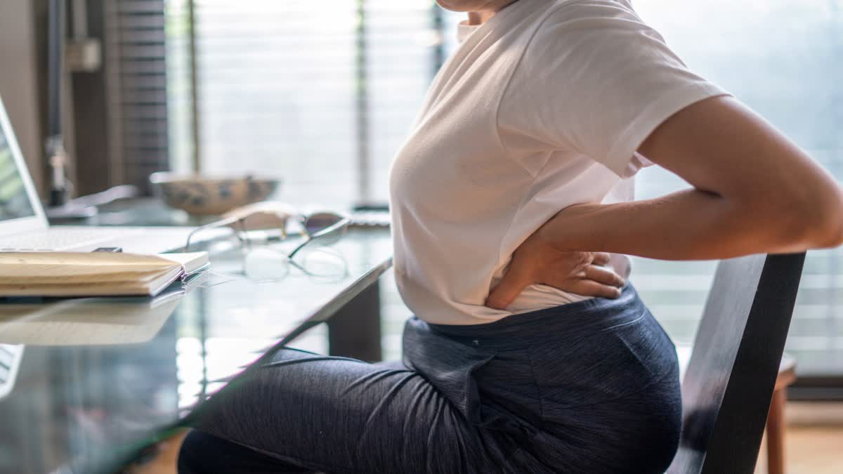 Causes Of Back Pain News