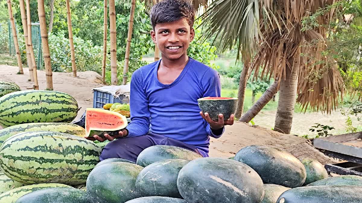 WATERMELON CULTIVATION IN SHEOHAR