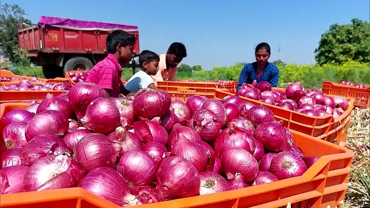 کچی پیاز کو کھانے میں شامل کرنے کی 9 وجوہات