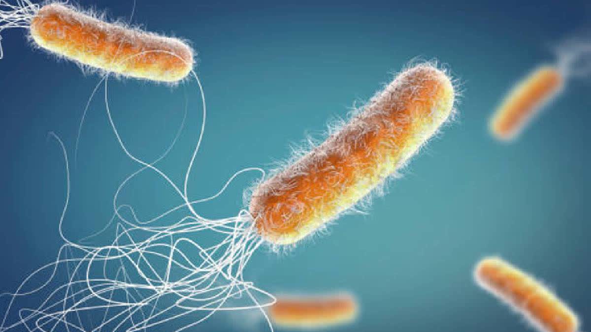 E-Coli Outbreak Reported In Kochi Complex, 350 Residents Affected