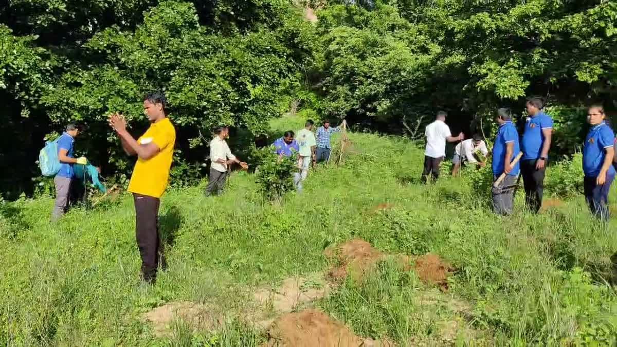 Construction of Vanaravana to feed monkeys of Anjanadri Hill