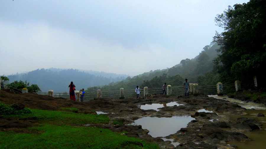 World Picnic Day