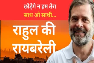 why-rahul-gandhi-keep-raebareli-lok-sabha-seat-why-leave-wayanad-seat-PRIYANKA GANDHI -reasons-in-ten-points-LOKSABHA ELETCION 2024 RESULT detailed-hindi-story