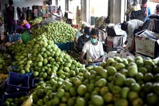 SOUTH AFRICA IMPORT INDIAN MANGOES  ഇന്ത്യൻ മാമ്പഴം ദക്ഷിണാഫ്രിക്കയിൽ  APEDA  ദക്ഷിണാഫ്രിക്കയിൽ മാമ്പഴ ഇറക്കുമതി