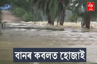 ASSAM FLOOD 2024