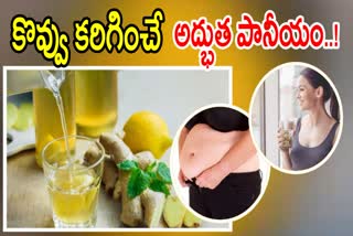 Health Benefits of Ginger Water