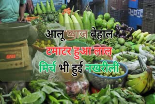 Heat increased price of vegetables in chhattisgarh