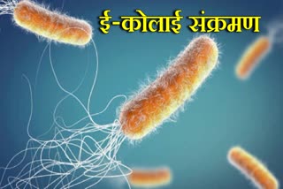 E Coli Outbreak